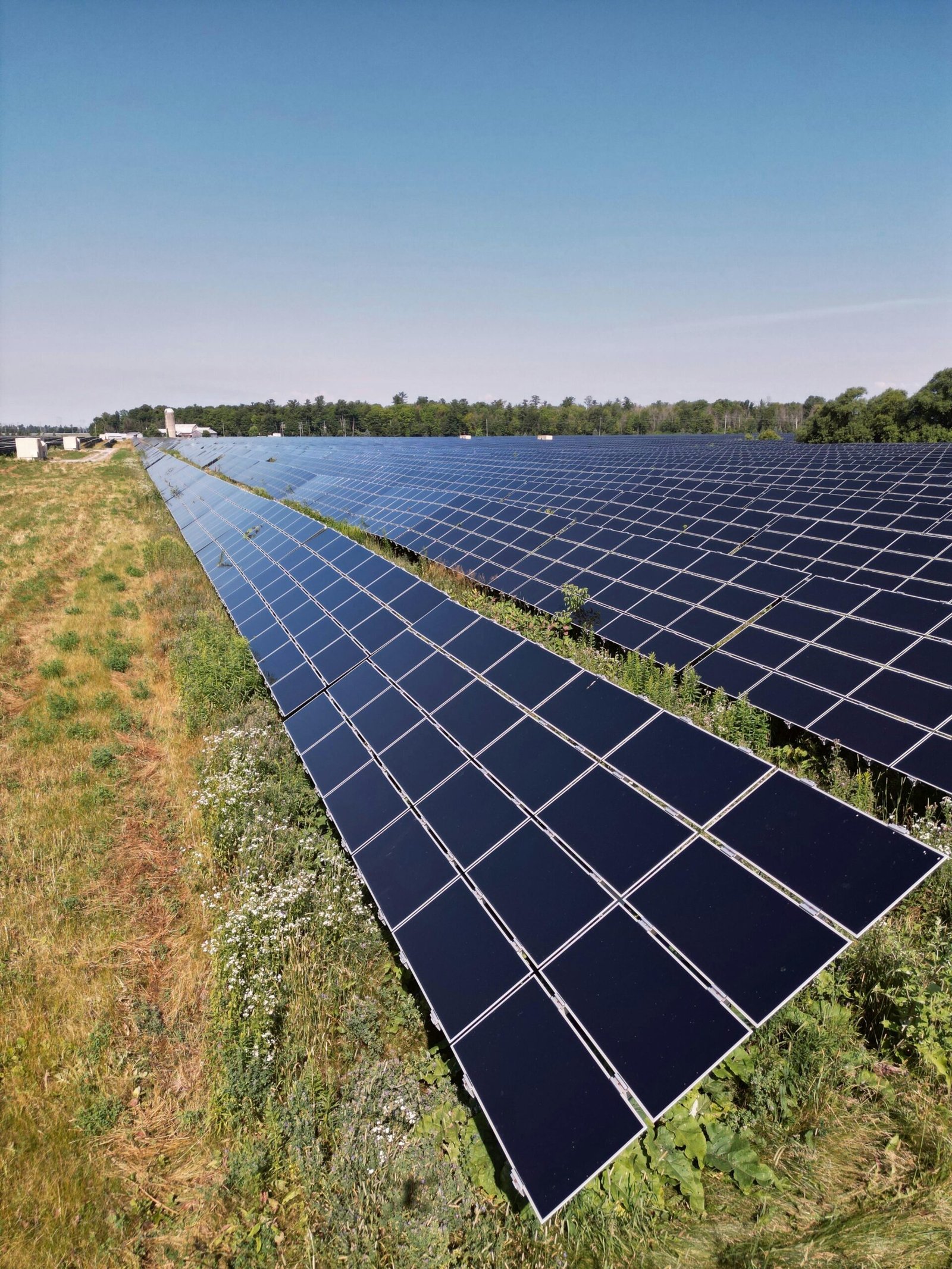Wide view of a solar panel farm under a clear blue sky in Mississippi Mills, ON, promoting renewable energy.